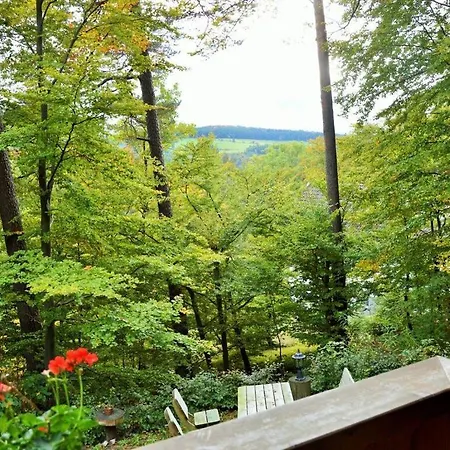 In Willingen-neerdar 公寓 Neerdar
